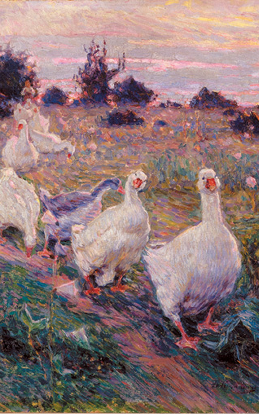 Geese_on_the_pasture